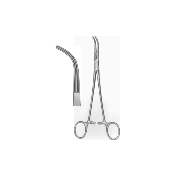 Lahey gall duct forceps: 19cm
