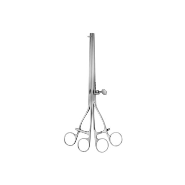 Lane intestinal twin clamp: straight 30cm curved 30cm