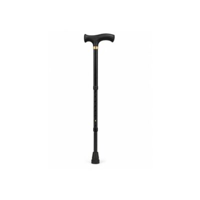 Walking Stick