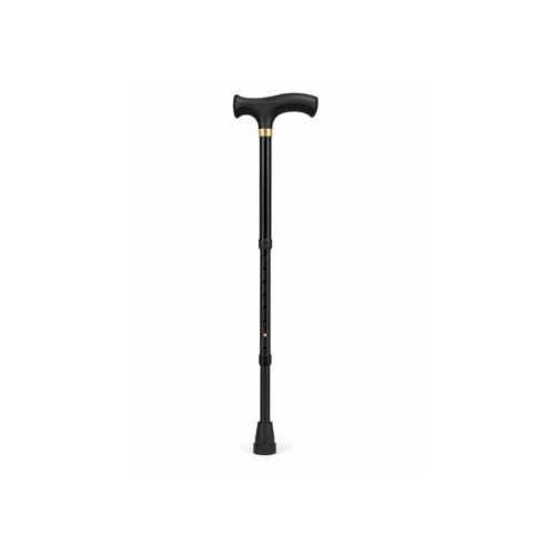 Walking Stick