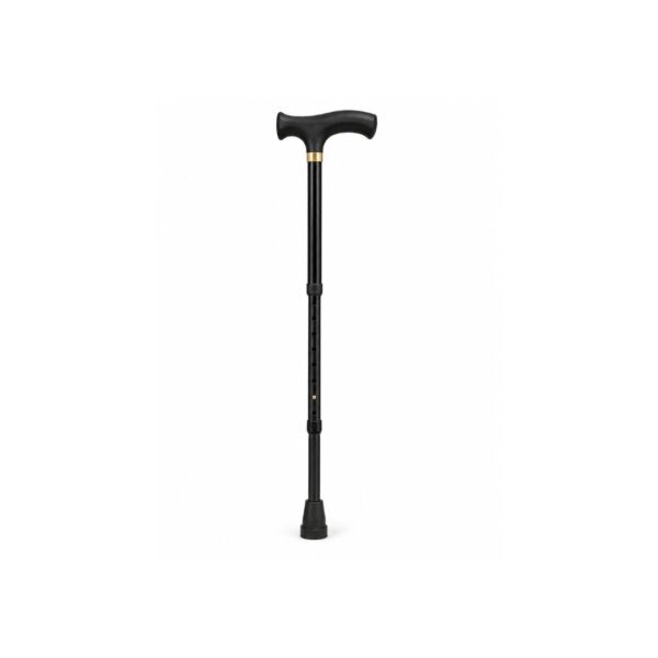 Walking Stick