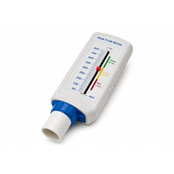 Peak Flow Meter