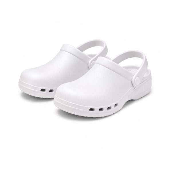 Theatre Clogs